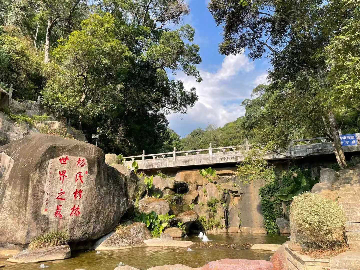 格氏栲景区（4A）